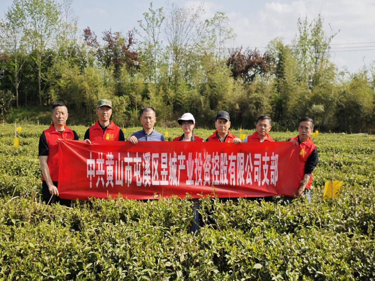 昱城產(chǎn)投公司黨支部開展“茶香潤初心，黨旗映茶園”主題黨日活動