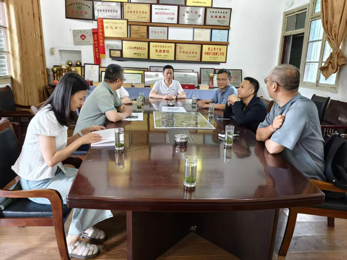 江蘇外聯(lián)采考察團(tuán)到實(shí)驗(yàn)茶場(chǎng)考察，共商茶產(chǎn)業(yè)合作新藍(lán)圖